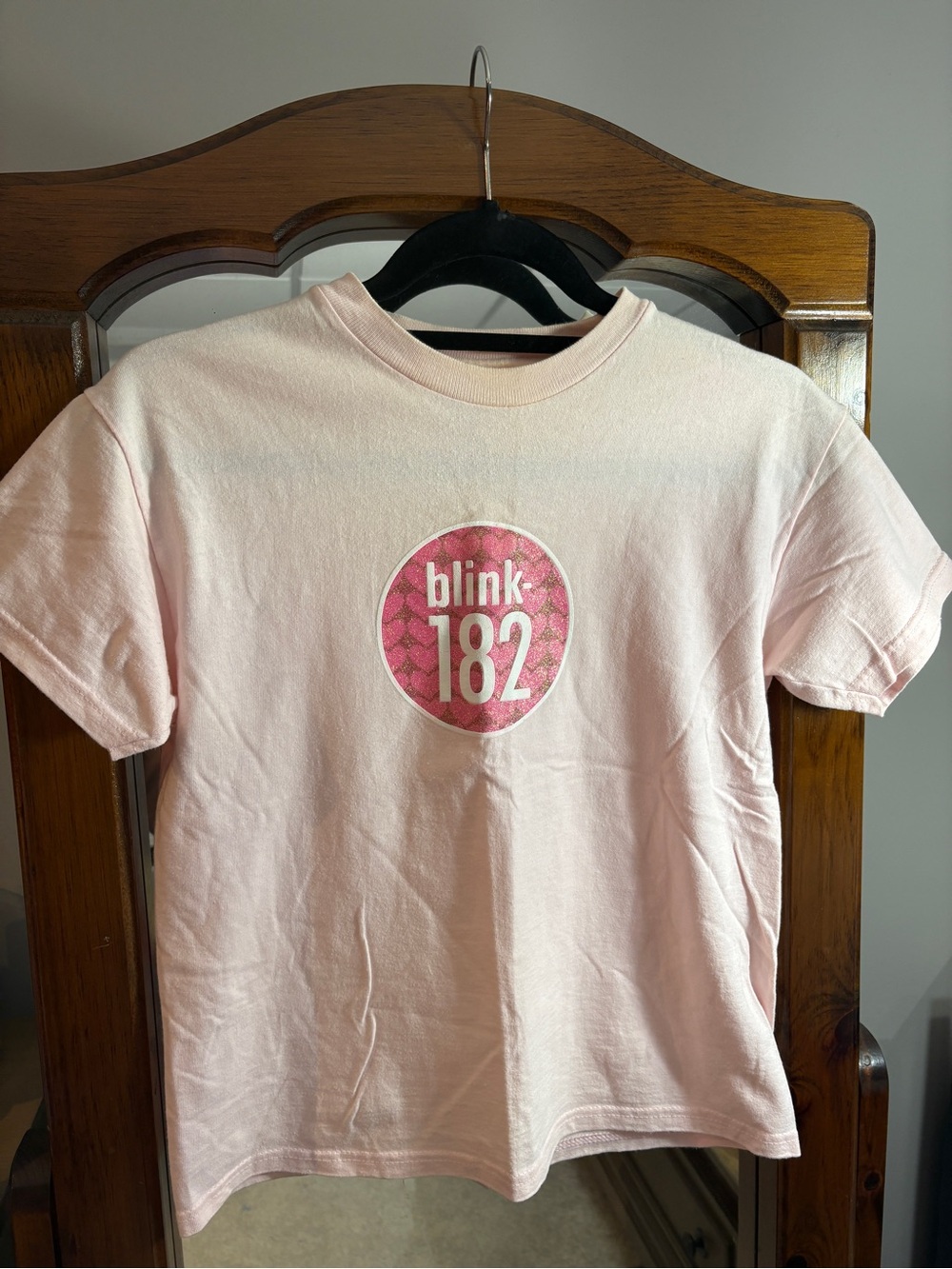 Blink-182 Graphic Hanes Vintage T-shirt in Soft Pink